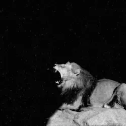The Lion