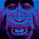 6336