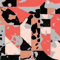 Abstract number 5