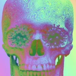 Infected Mind
