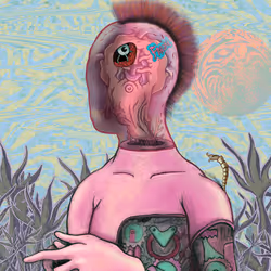 24