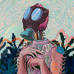 54