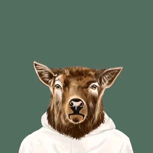 Cryptospiritsnft