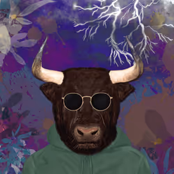 807