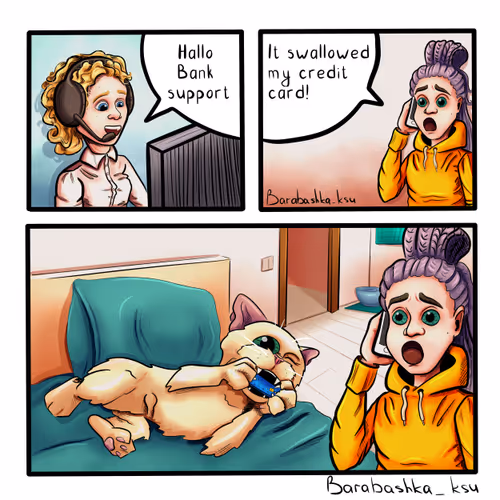 BarabashkaKsu - Comics