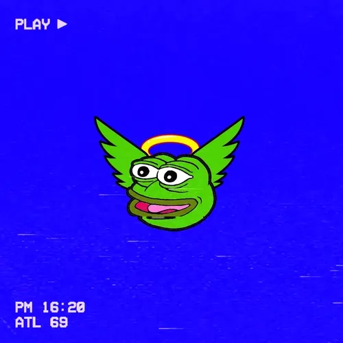 FLY PEPE FLY 11