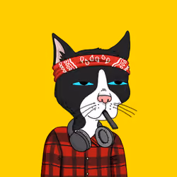 0x #2173