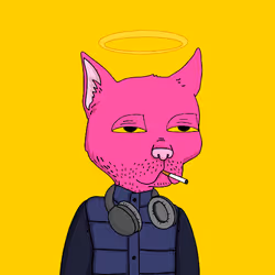 2543