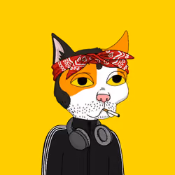 0x #1325