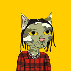 54