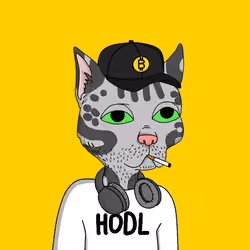 0x #21