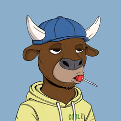 Cool Bulls #567