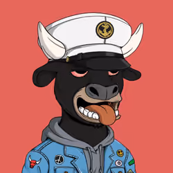 Cool Bulls #664