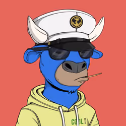 Cool Bulls #566