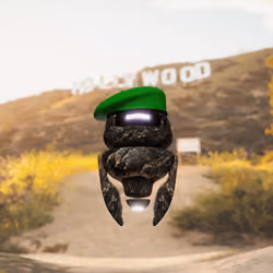 E-BOT 207