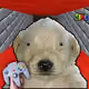 1188