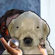 1080