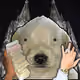 1200