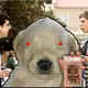 786