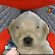 1284