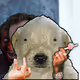 1282