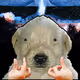 1455