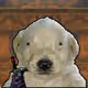 680