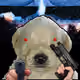 801