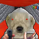 685