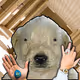 831