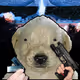1414
