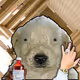 798