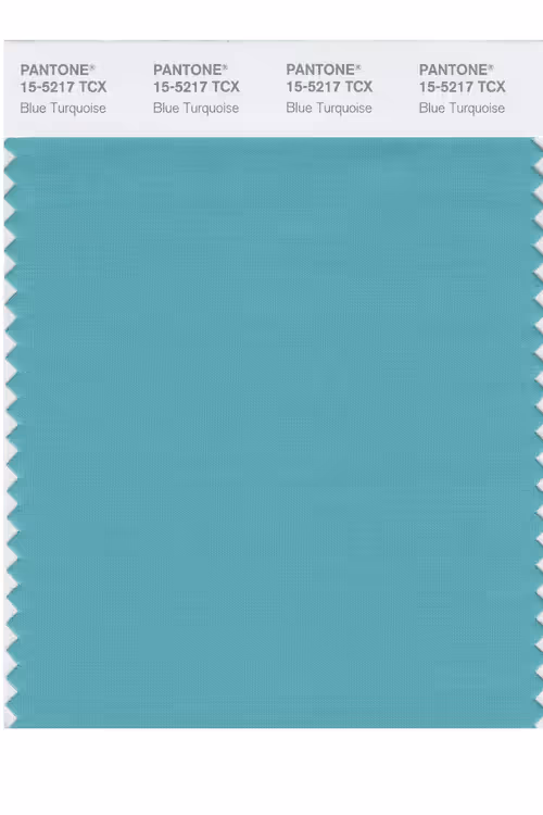 Item #5 Media