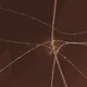 3332