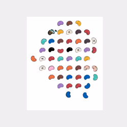 Bean Pattern #164