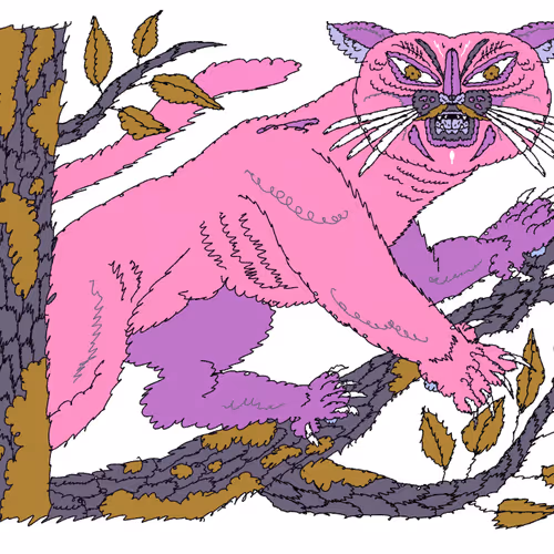 PINK PANTHER