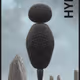 44