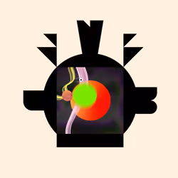 632