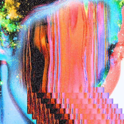 Neural Collapses