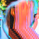 Neural Collapses