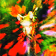 fr0̷g_015