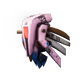 31251