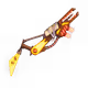 42441