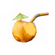 25282
