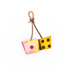 Wreck Antenna Psycrane S1-R21-2