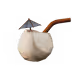 43496