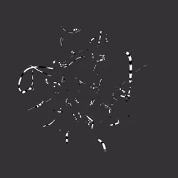The Chaos #357