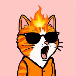 Pog Cats #299