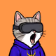 Pog Cats #480