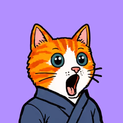 Pog Cats #1330